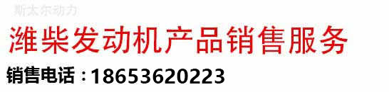 潍坊斯达斯太尔动力